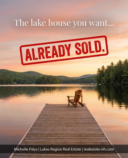 Michelle Palys Real Estate ad 2: The Hidden Truth